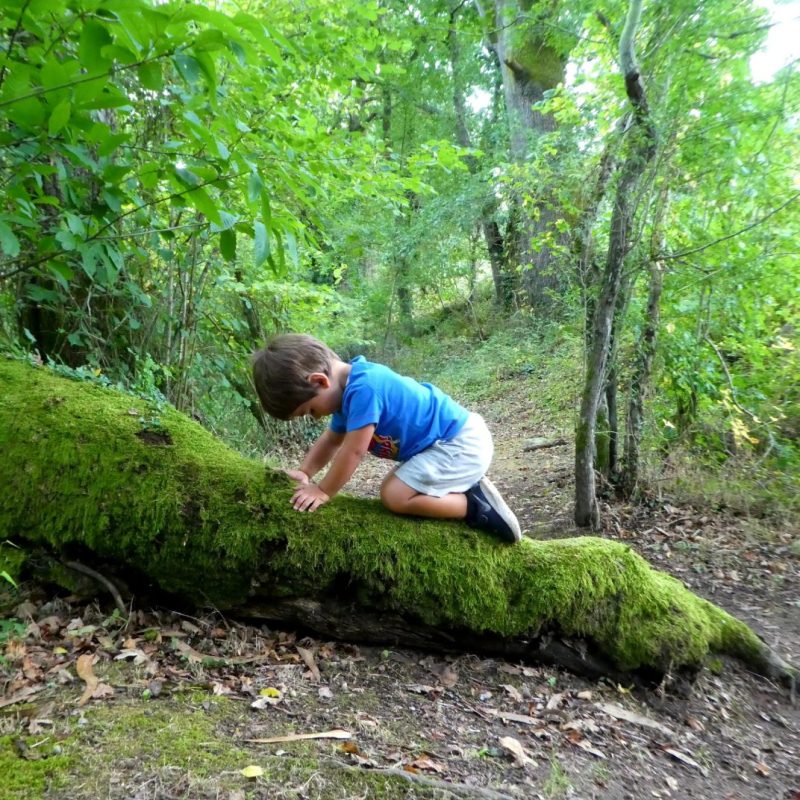 Pequeña guía para preparar las salidas a la naturaleza con&nbsp;txikis